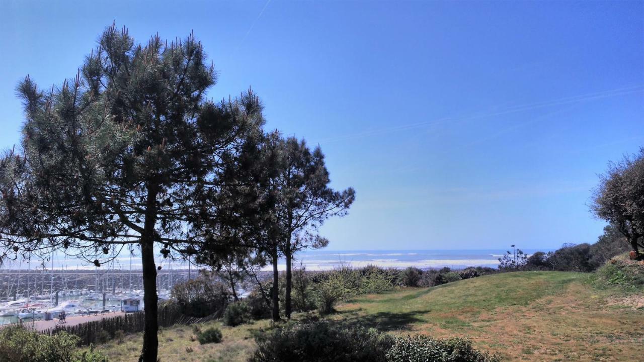 Figure De Proue, Les Sables D Olonne, Port Bourgenay, Saint Hilaire Apartment *